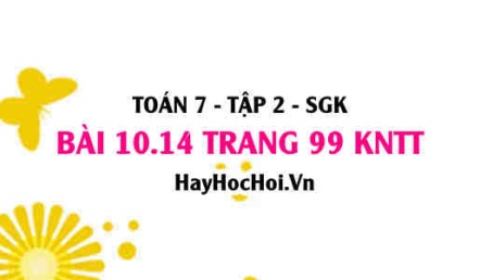 Bài 10.14 trang 99 Toán 7 Tập 2 Kết nối tri thức